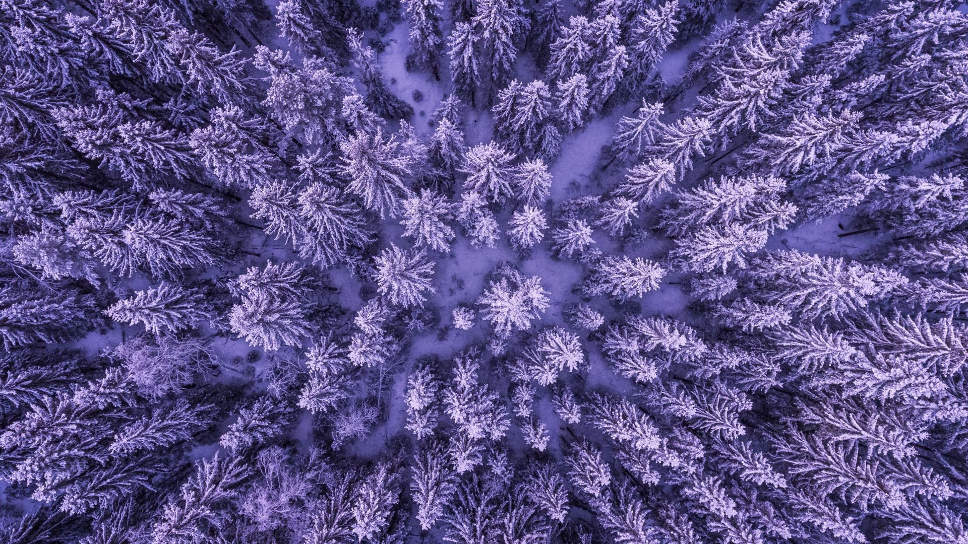 Autumn Snowfall Wallpapers