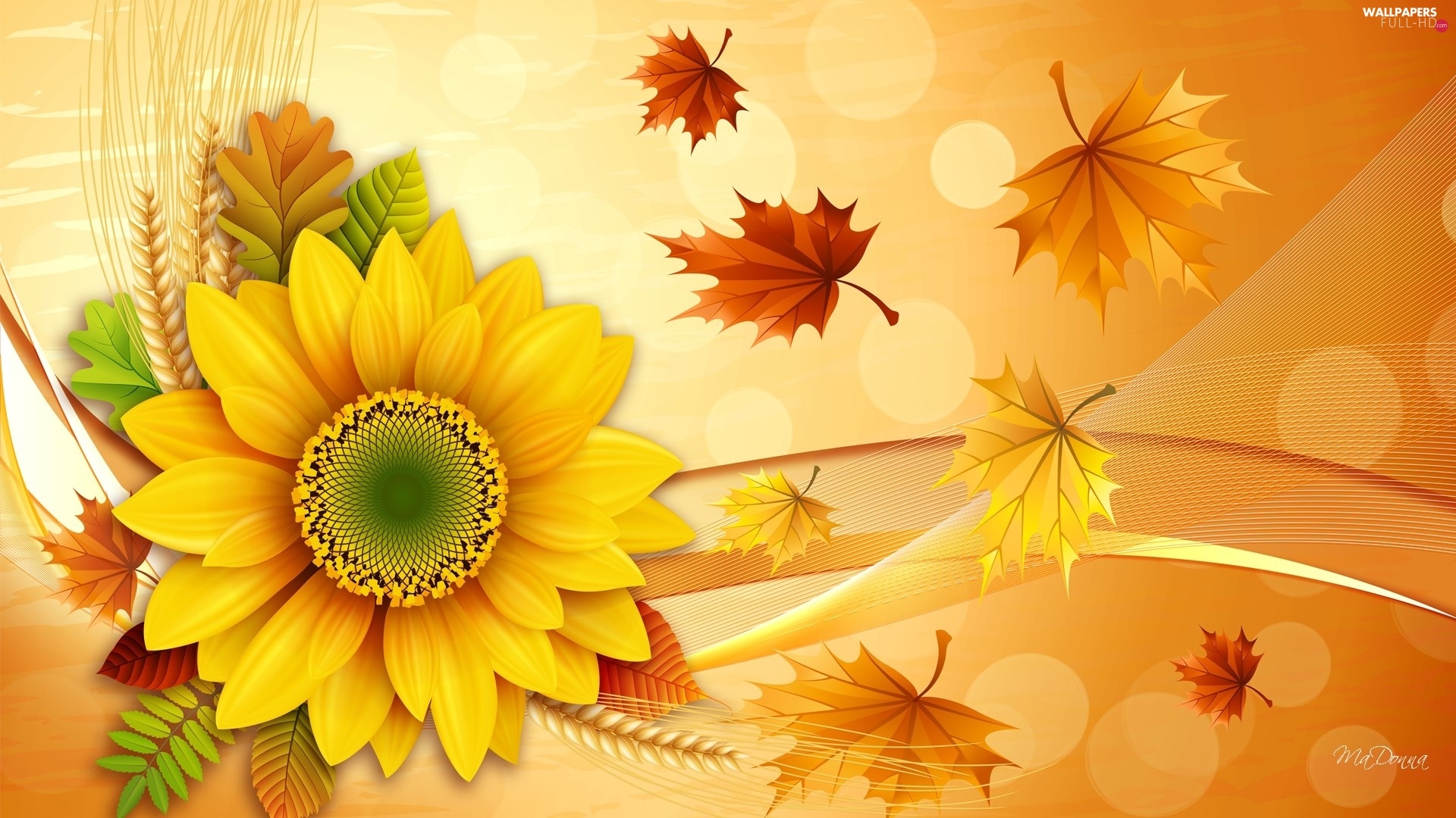 Autumn Sunflower Wallpapers