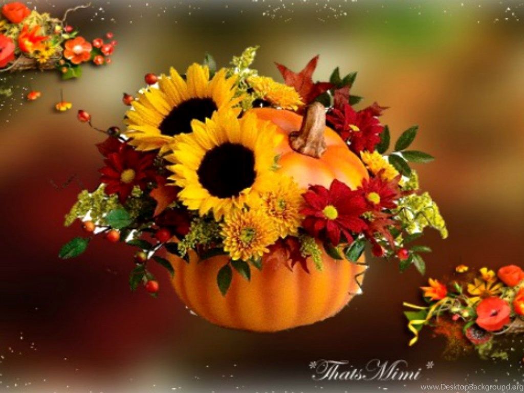 Autumn Sunflower Wallpapers