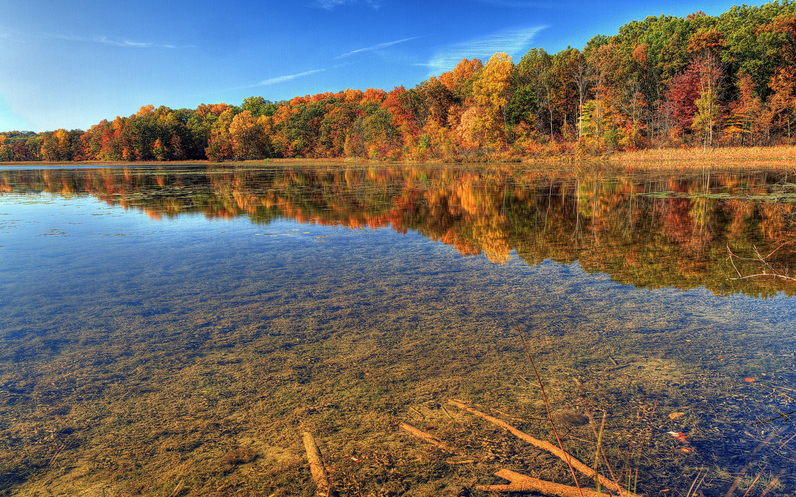 Autumn Water Wallpapers