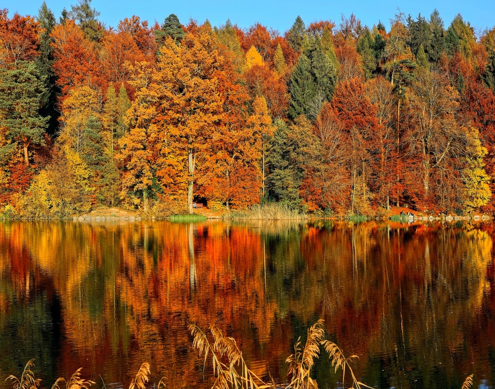 Autumn Water Wallpapers