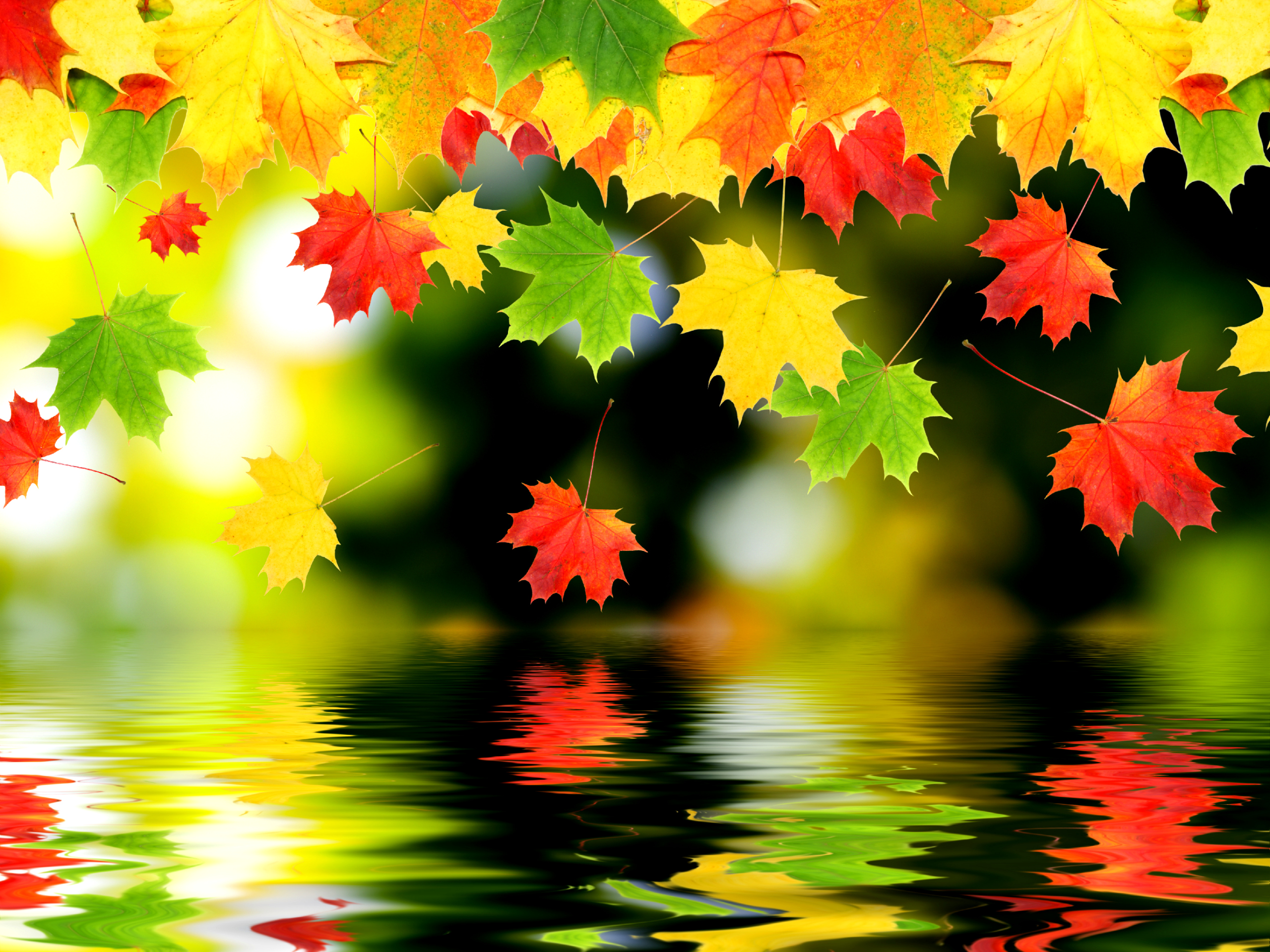 Autumn Water Wallpapers