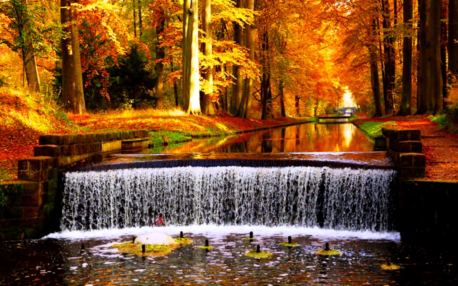 Autumn Waterfall Wallpapers