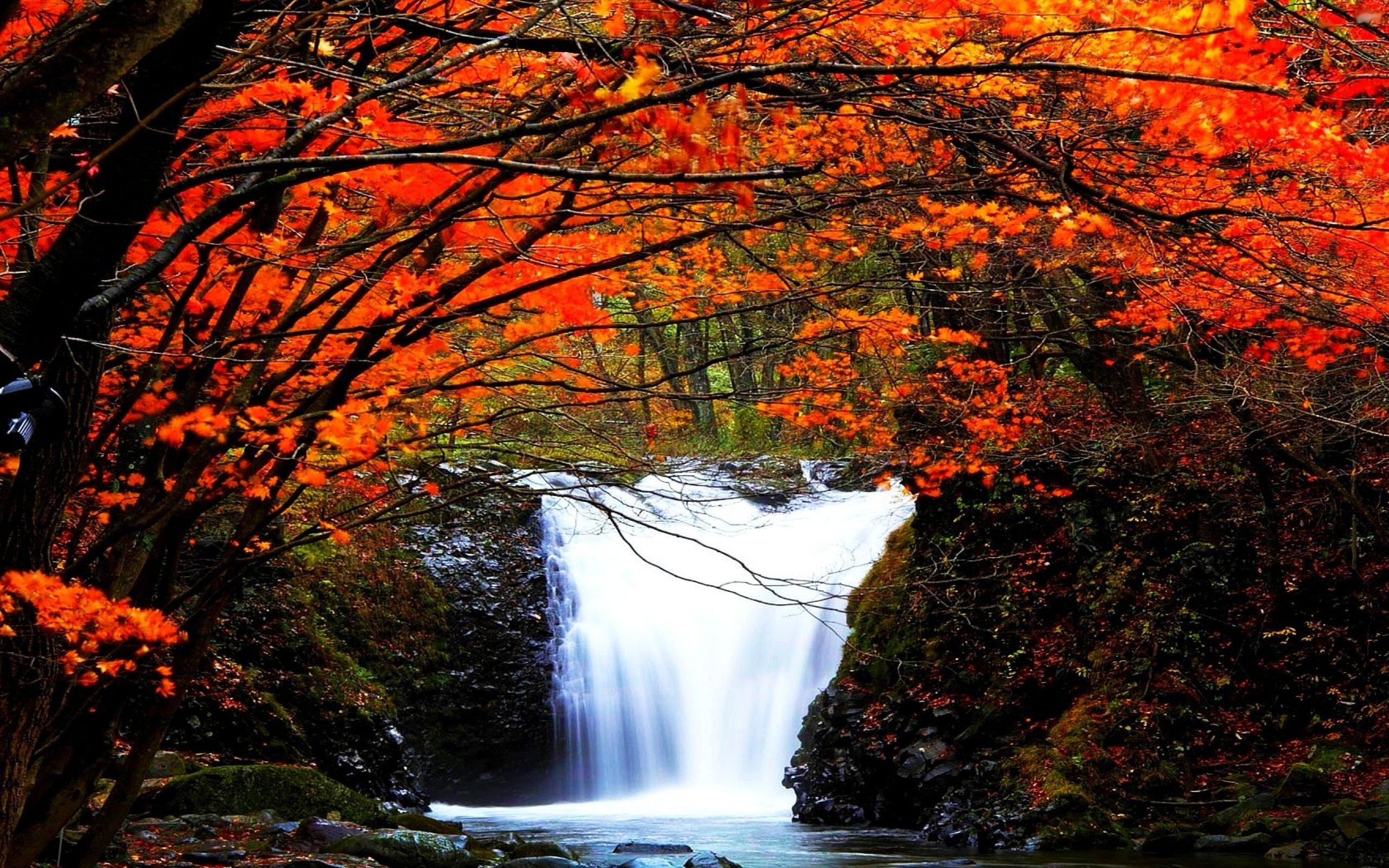 Autumn Waterfall Wallpapers