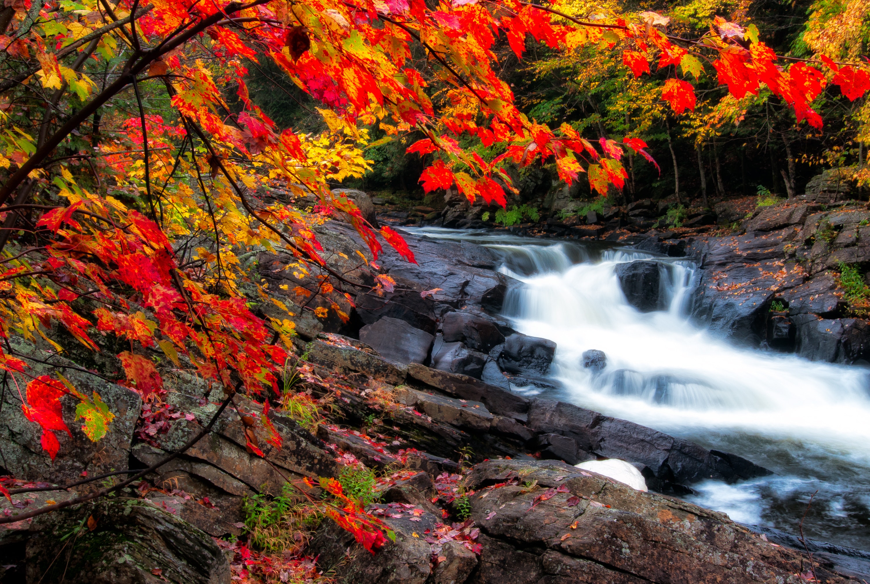 Autumn Waterfall Wallpapers