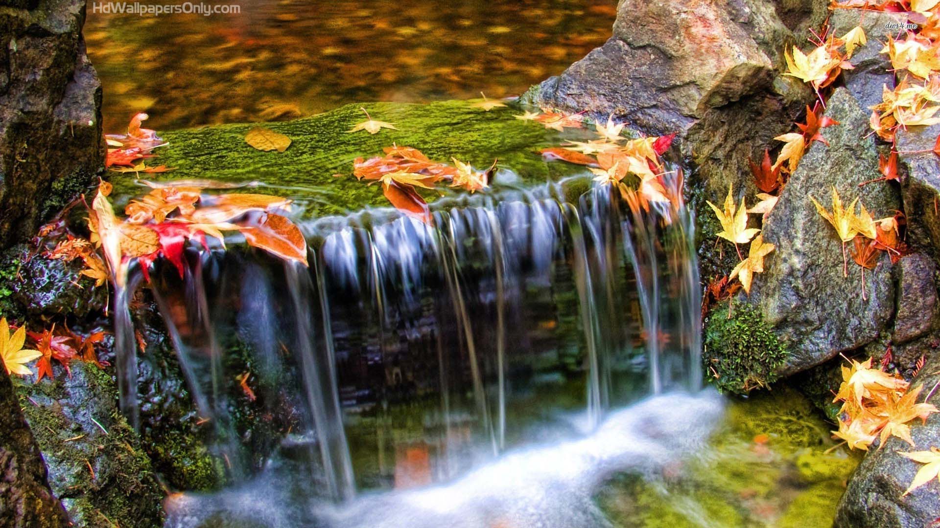 Autumn Waterfall Wallpapers