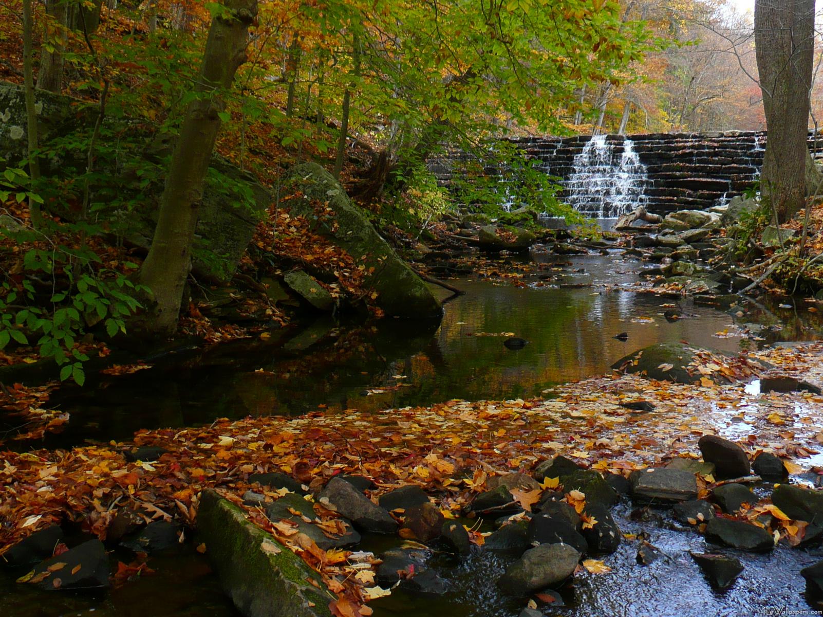 Autumn Waterfall Wallpapers