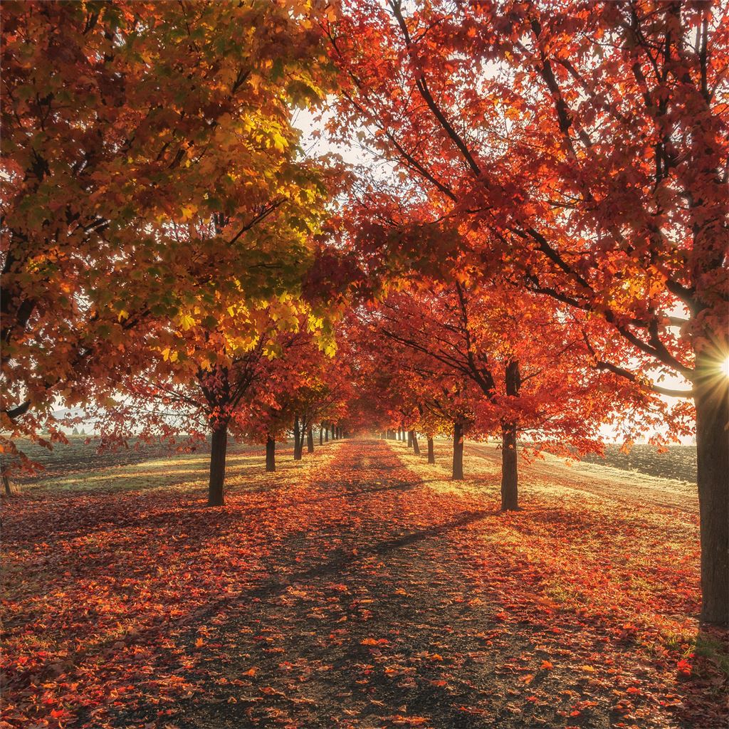 Autumn Weather Wallpapers