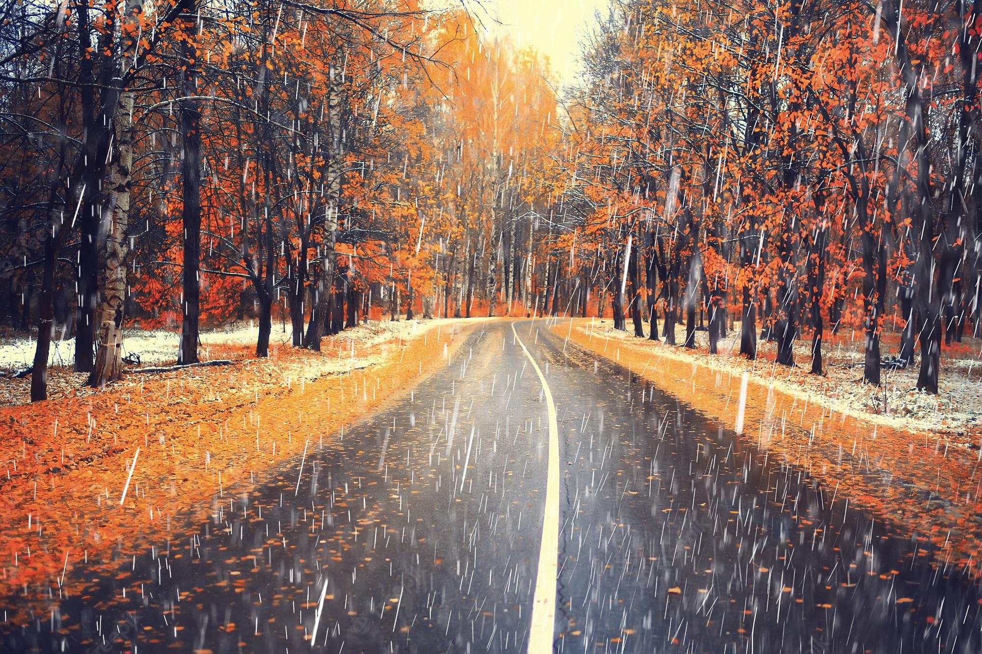 Autumn Weather Wallpapers