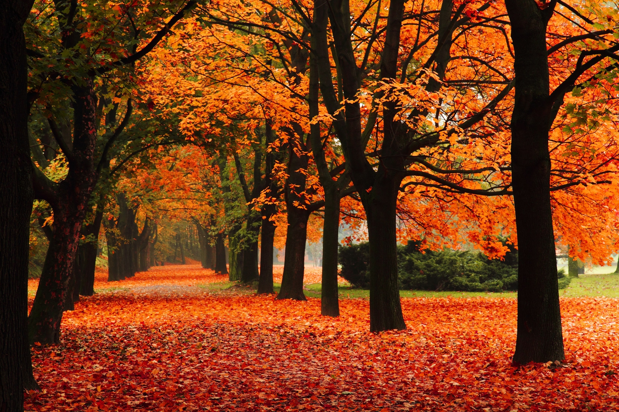 Autumn Weather Wallpapers