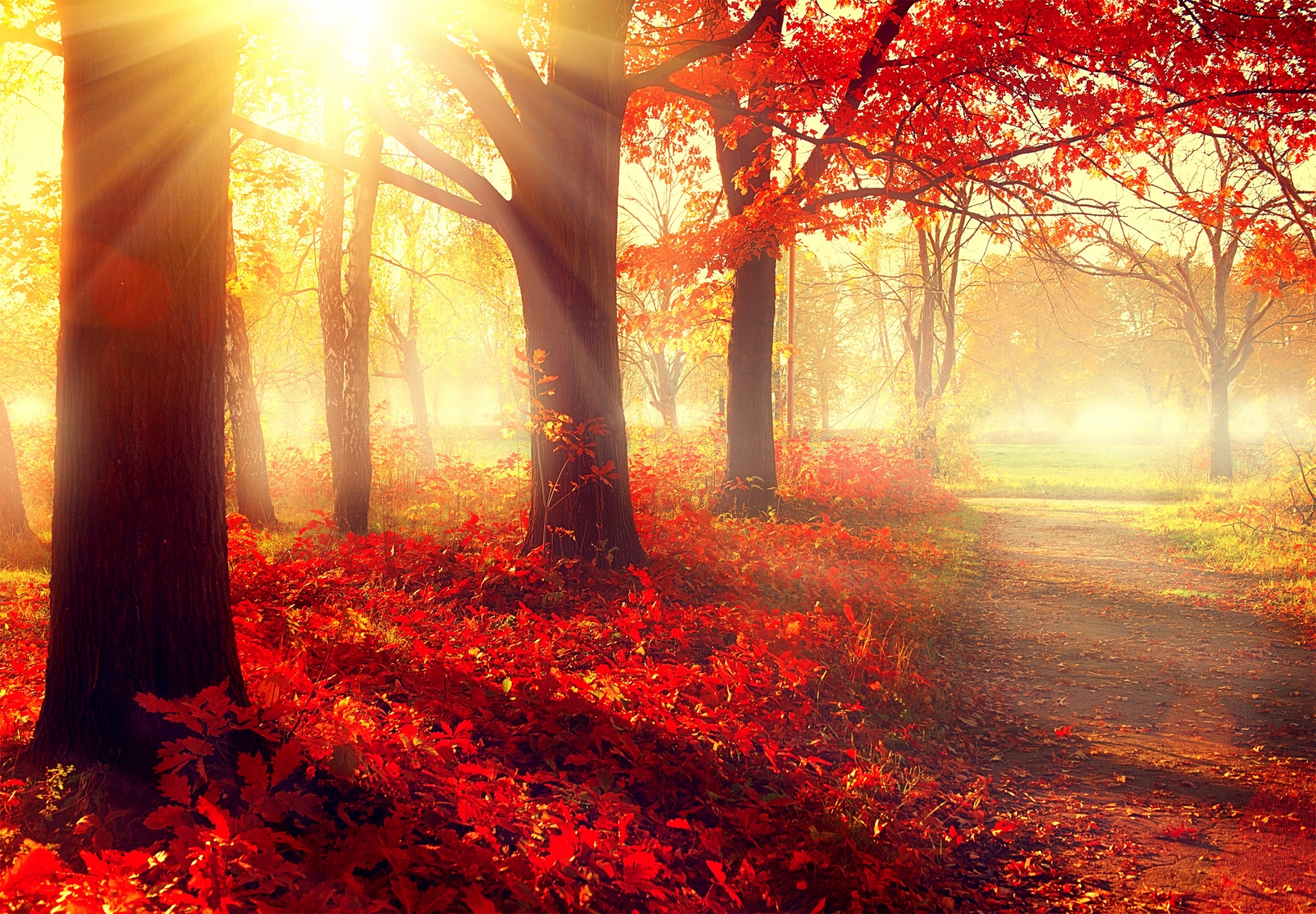 Autumn Weather Wallpapers