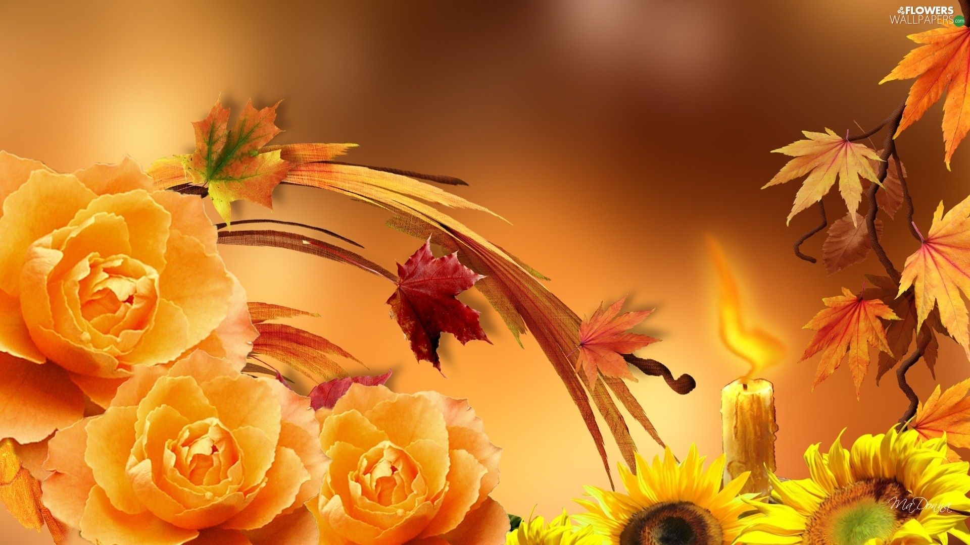 Autumn With Sunflowers Wallpapers