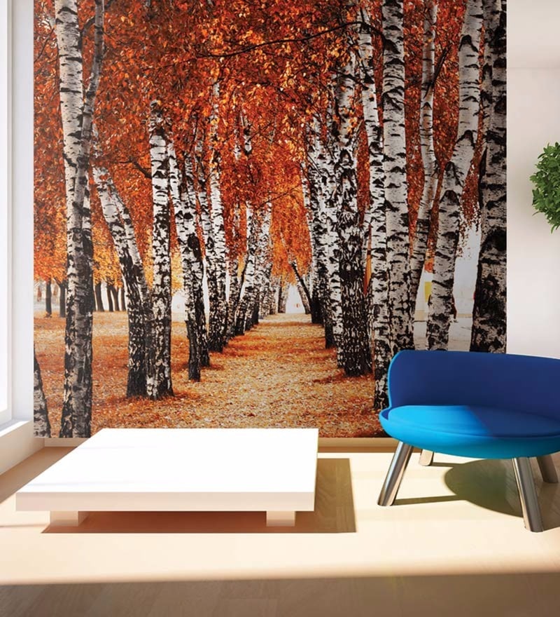 Autumn Woods Wallpapers