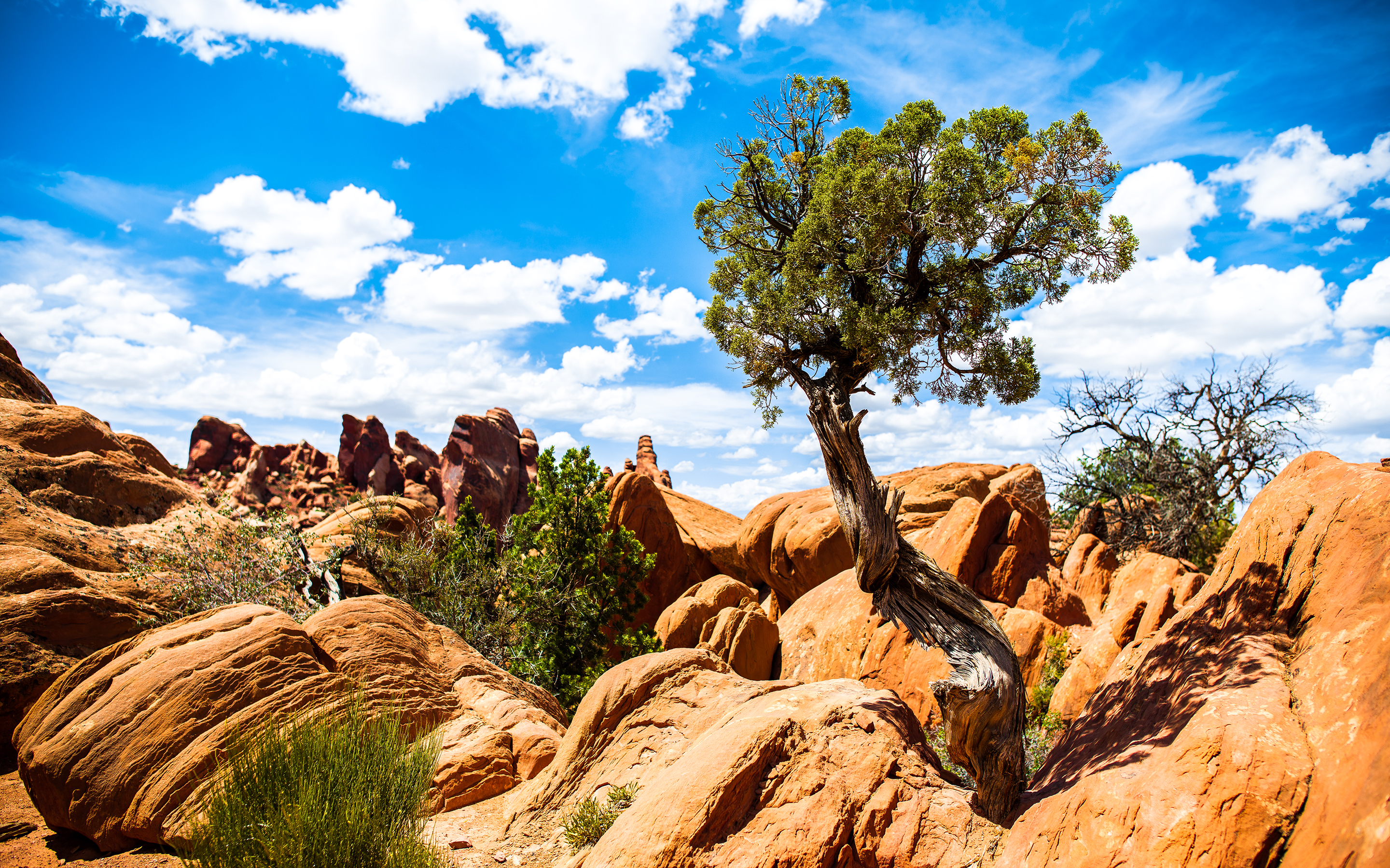 Badlands National Park Wallpapers