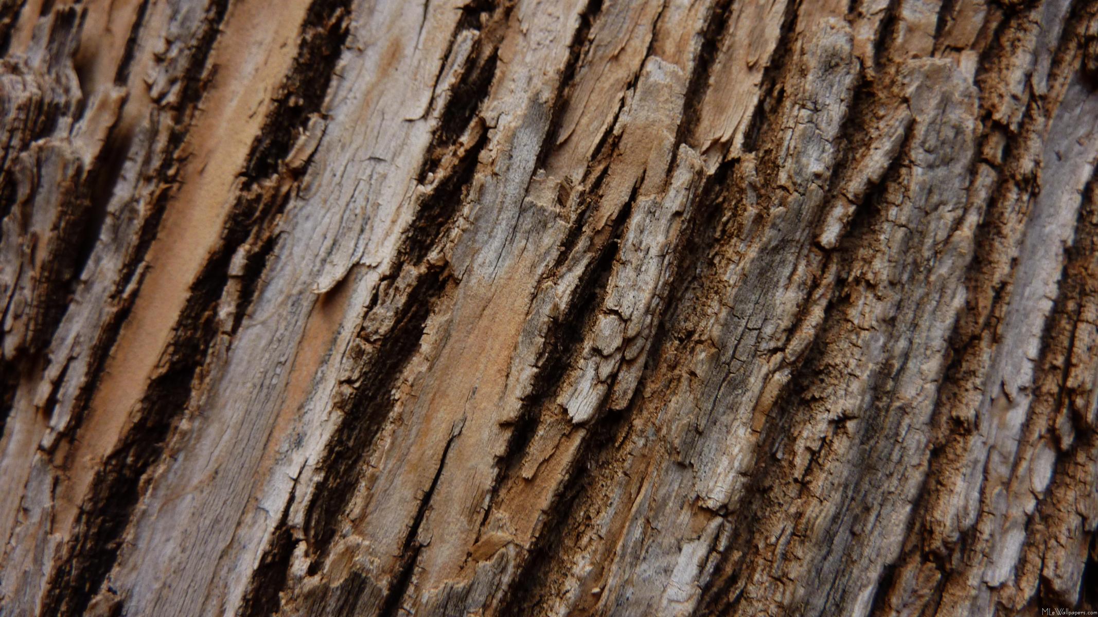 Bark Wallpapers