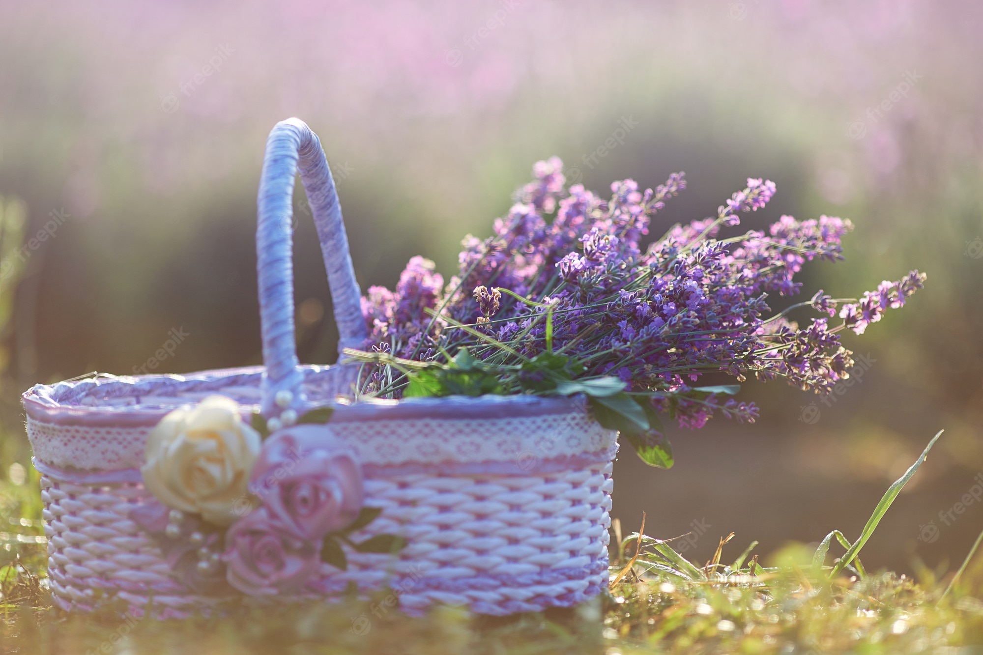 Basket Of Lavender Purple Flower Wallpapers