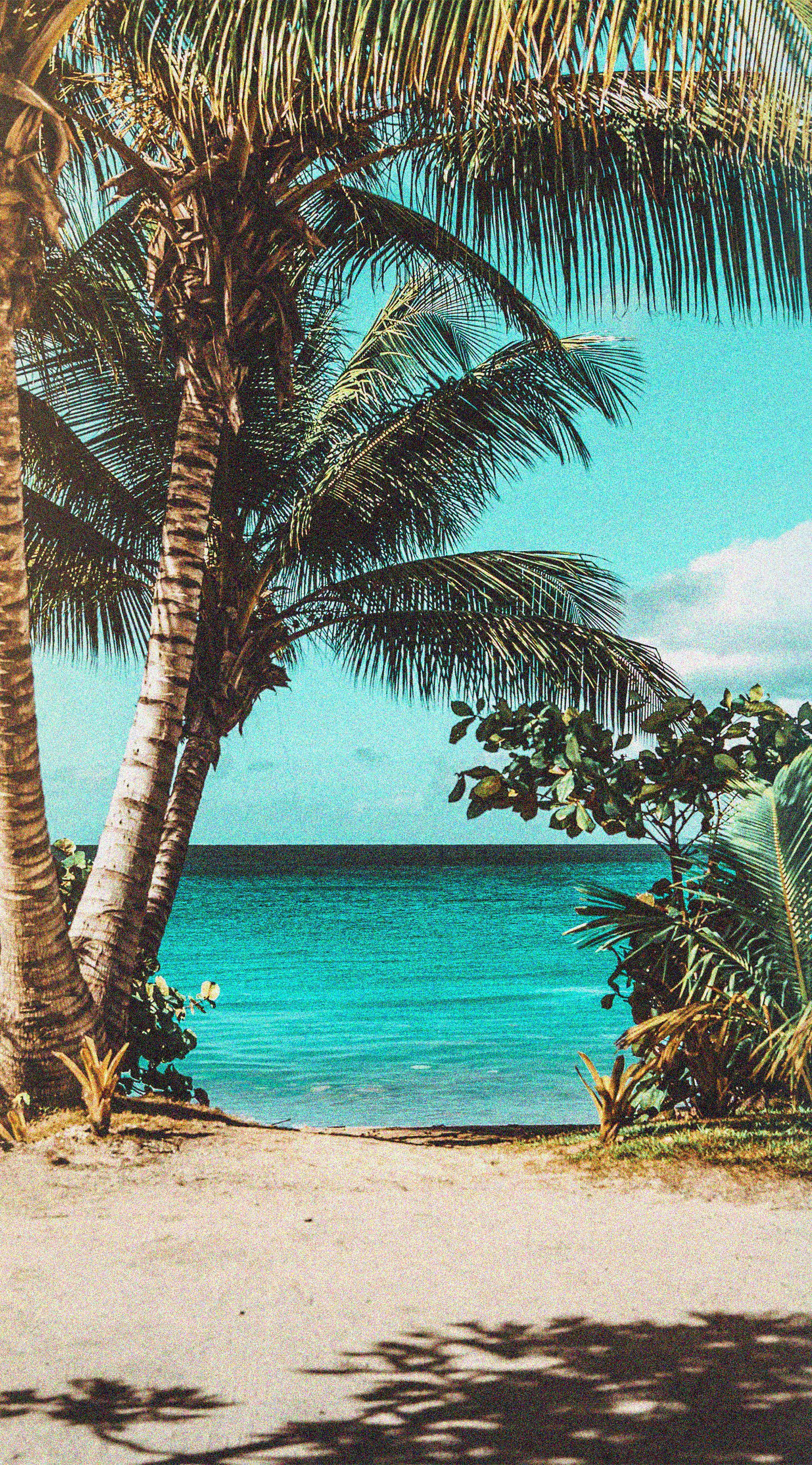 Beach Aesthetic Wallpapers