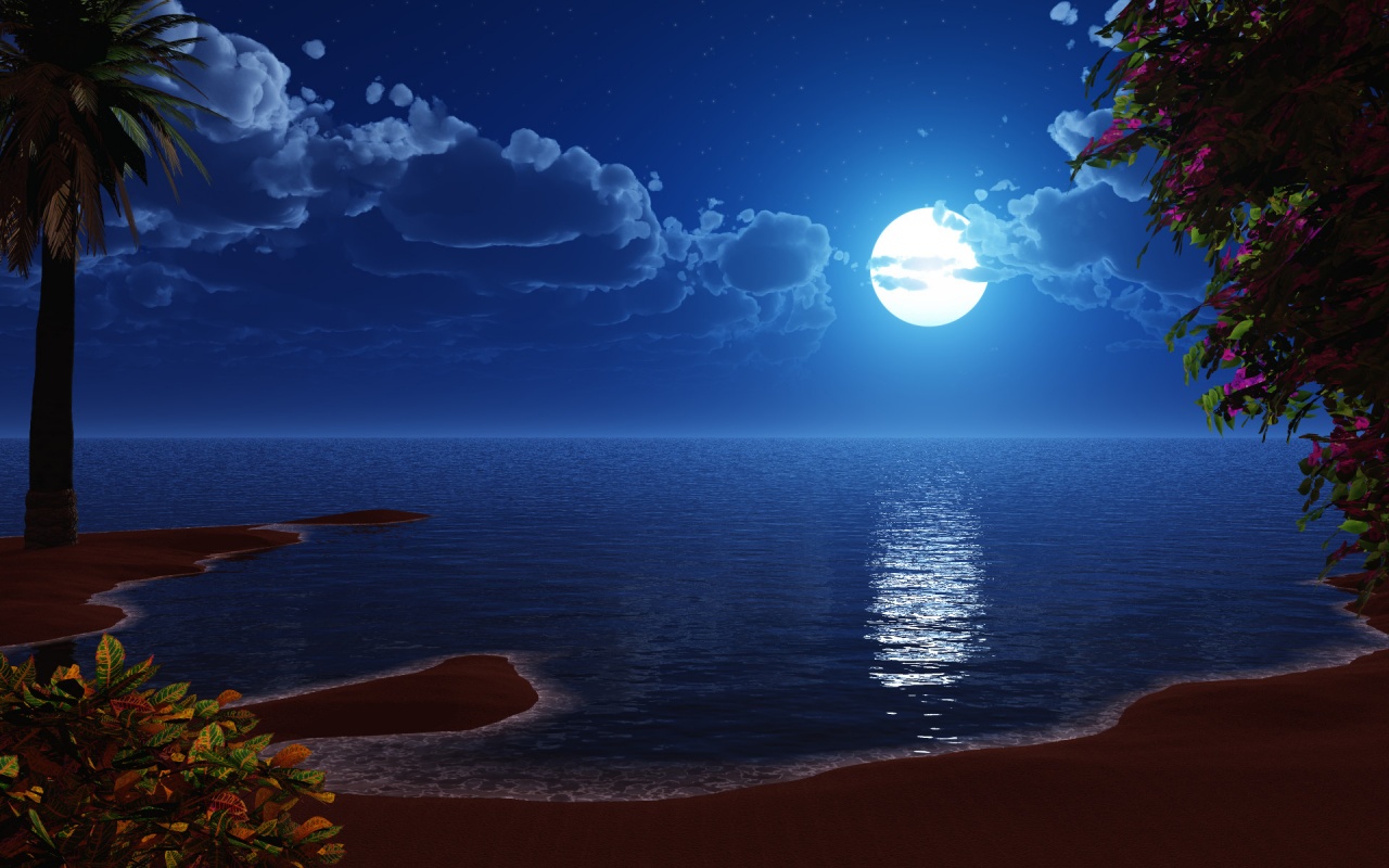 Beach At Night Wallpapers