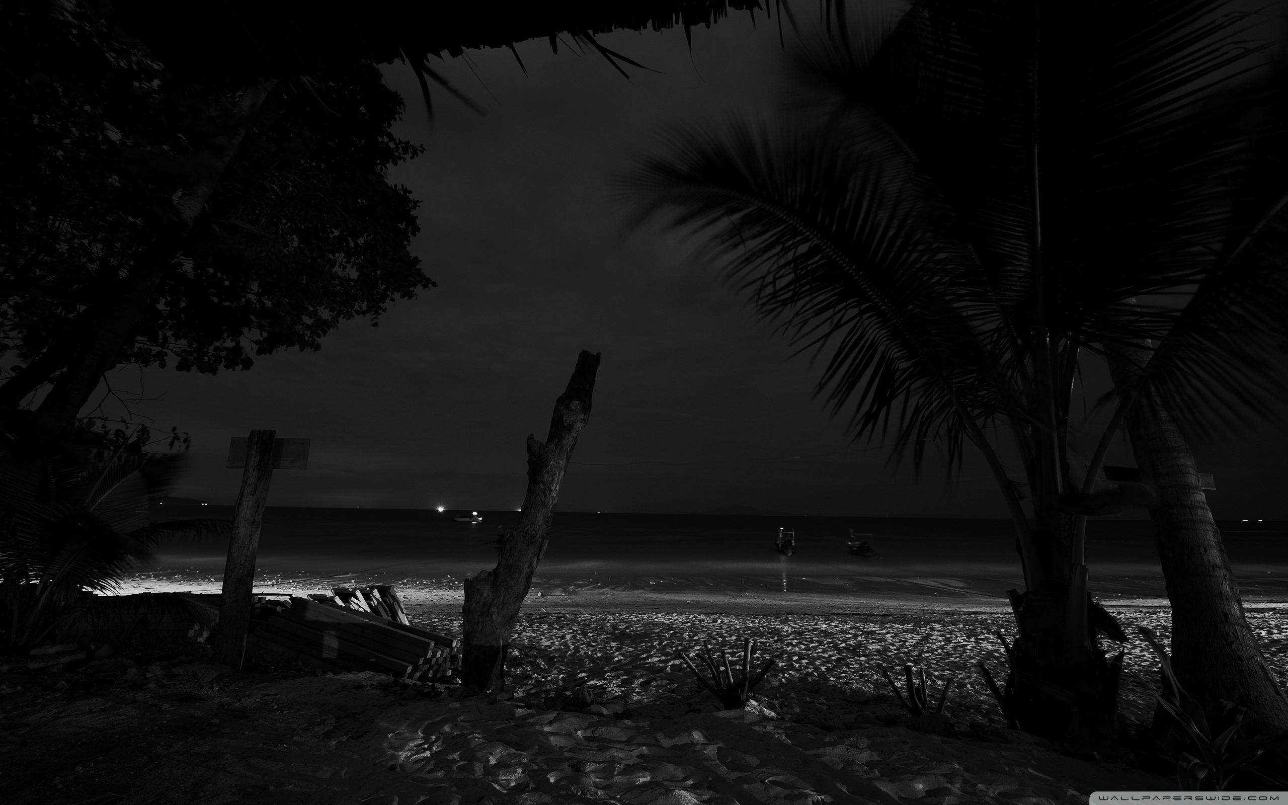 Beach At Night Wallpapers