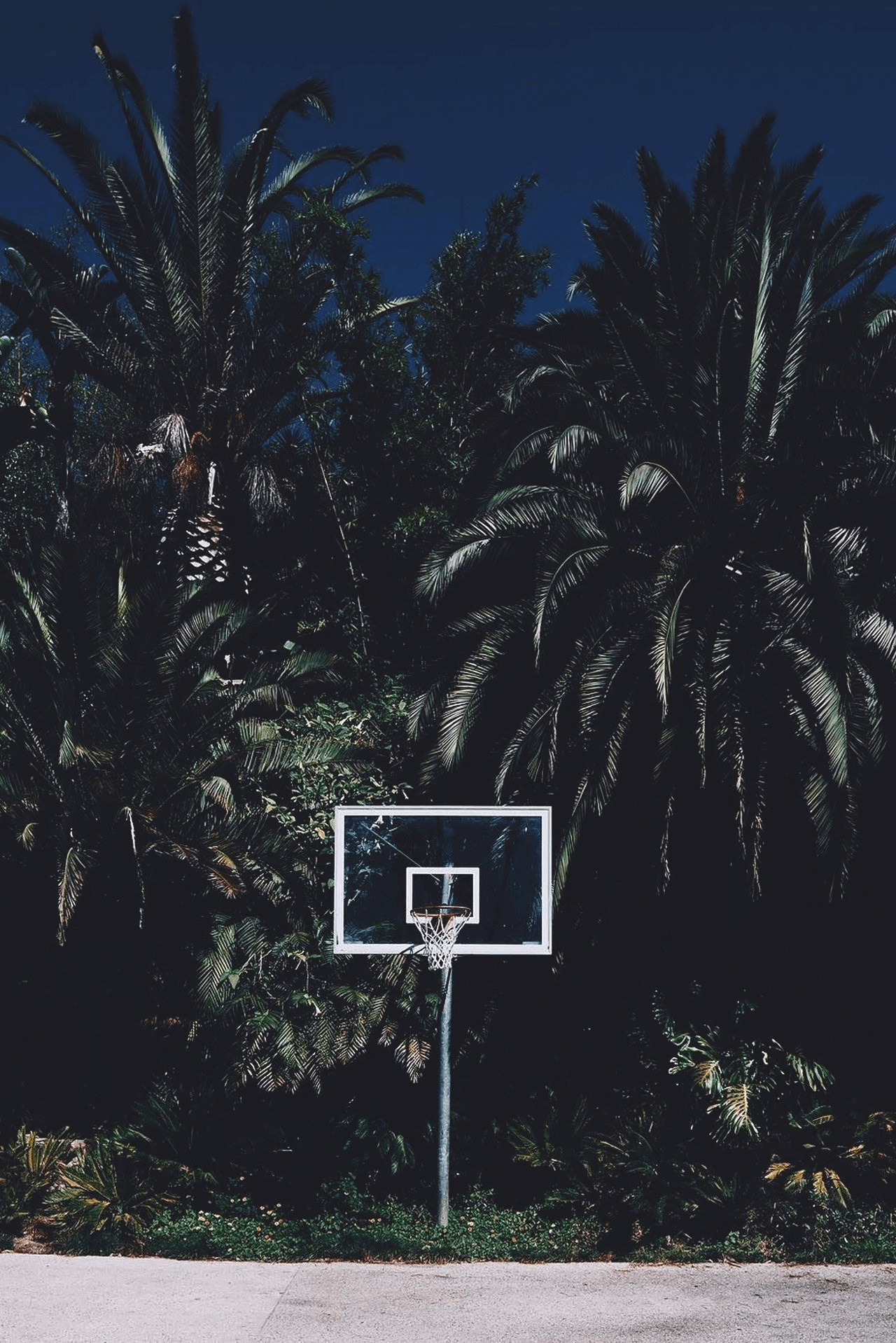 Beach Basketball Court Wallpapers