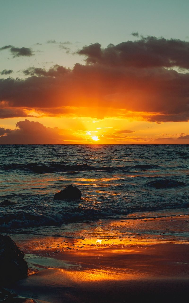 Beach Cloud Earth Horizon Ocean Purple Sea Wallpapers