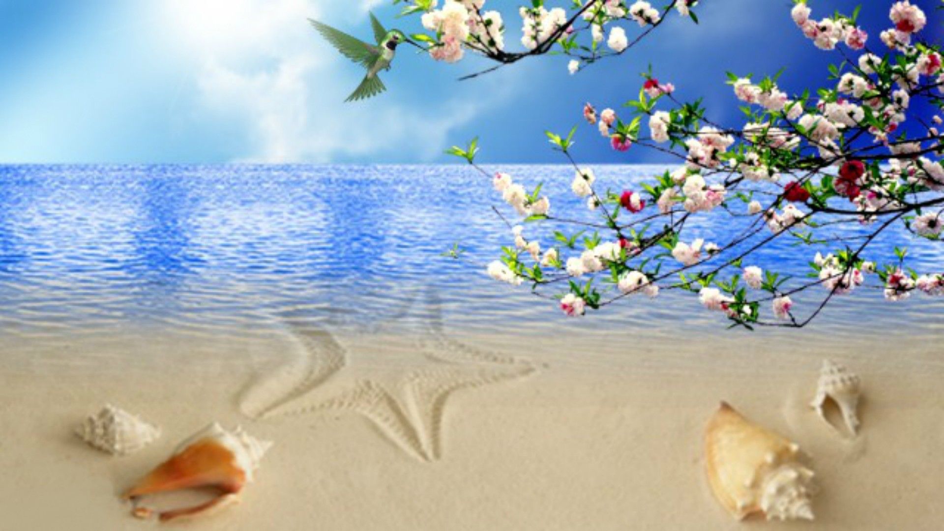 Beach Floral Wallpapers