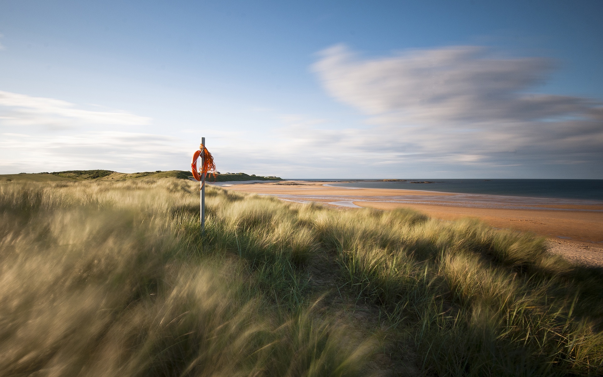 Beach Grass Wallpapers