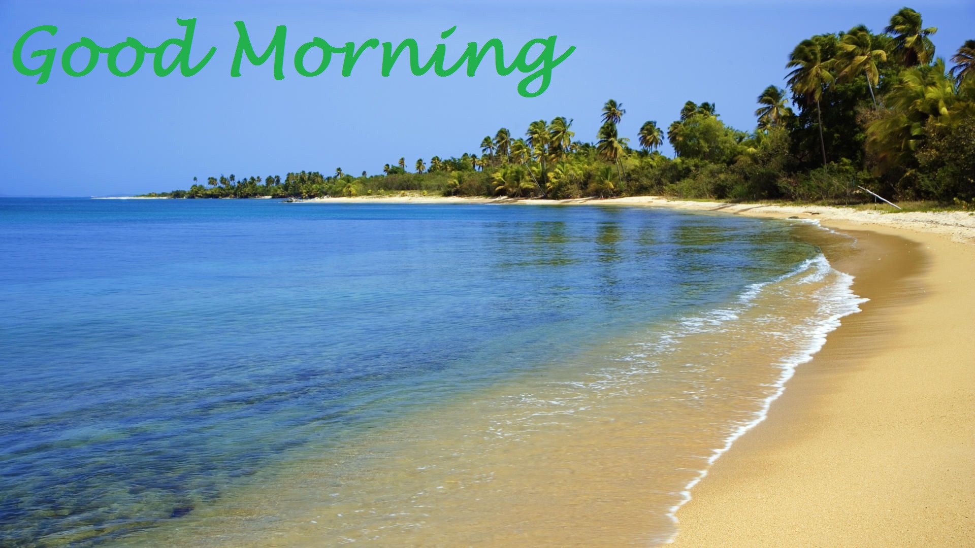 Beach Morning Wallpapers