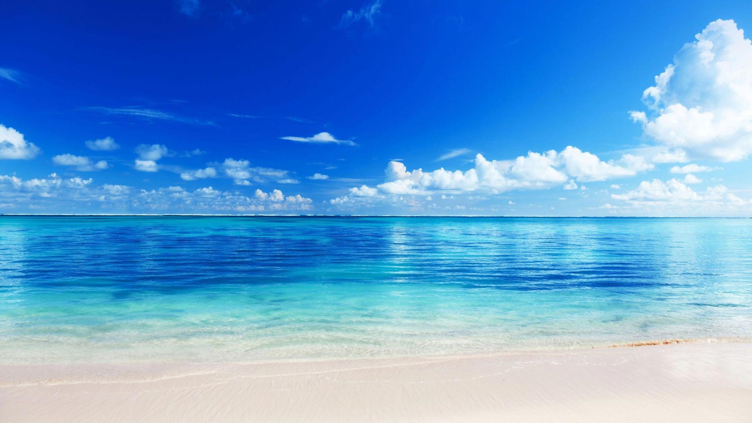 Beach Ocean Wallpapers