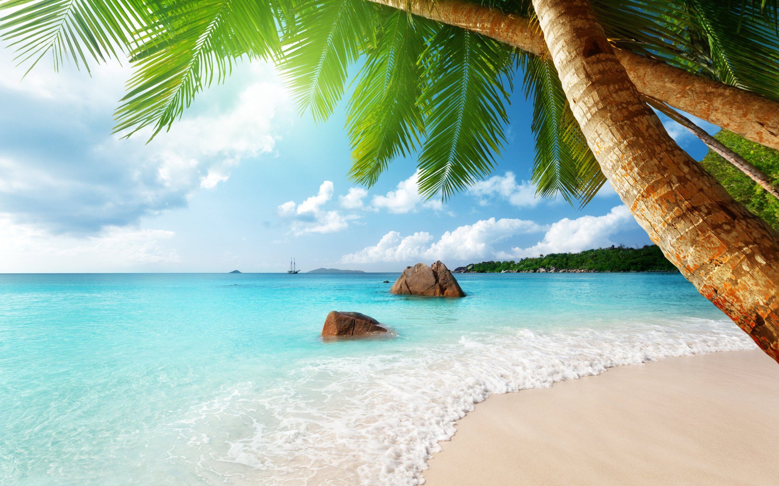 Beach Ocean Wallpapers