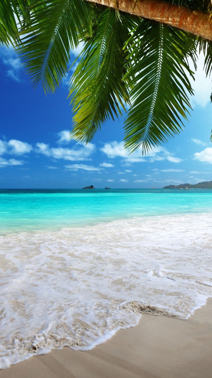 Beach Ocean Wallpapers