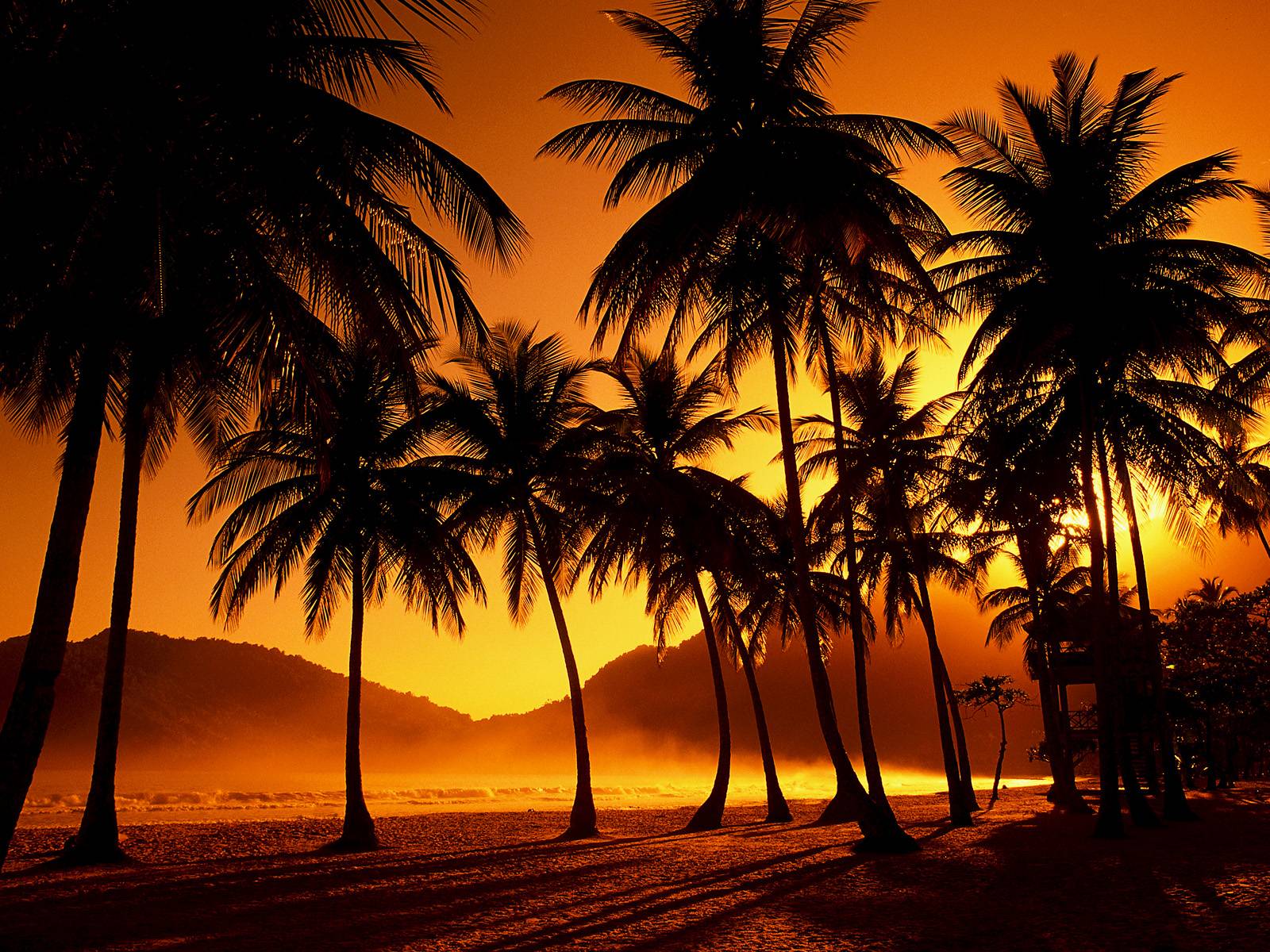 Beach Paradise Sunset Wallpapers