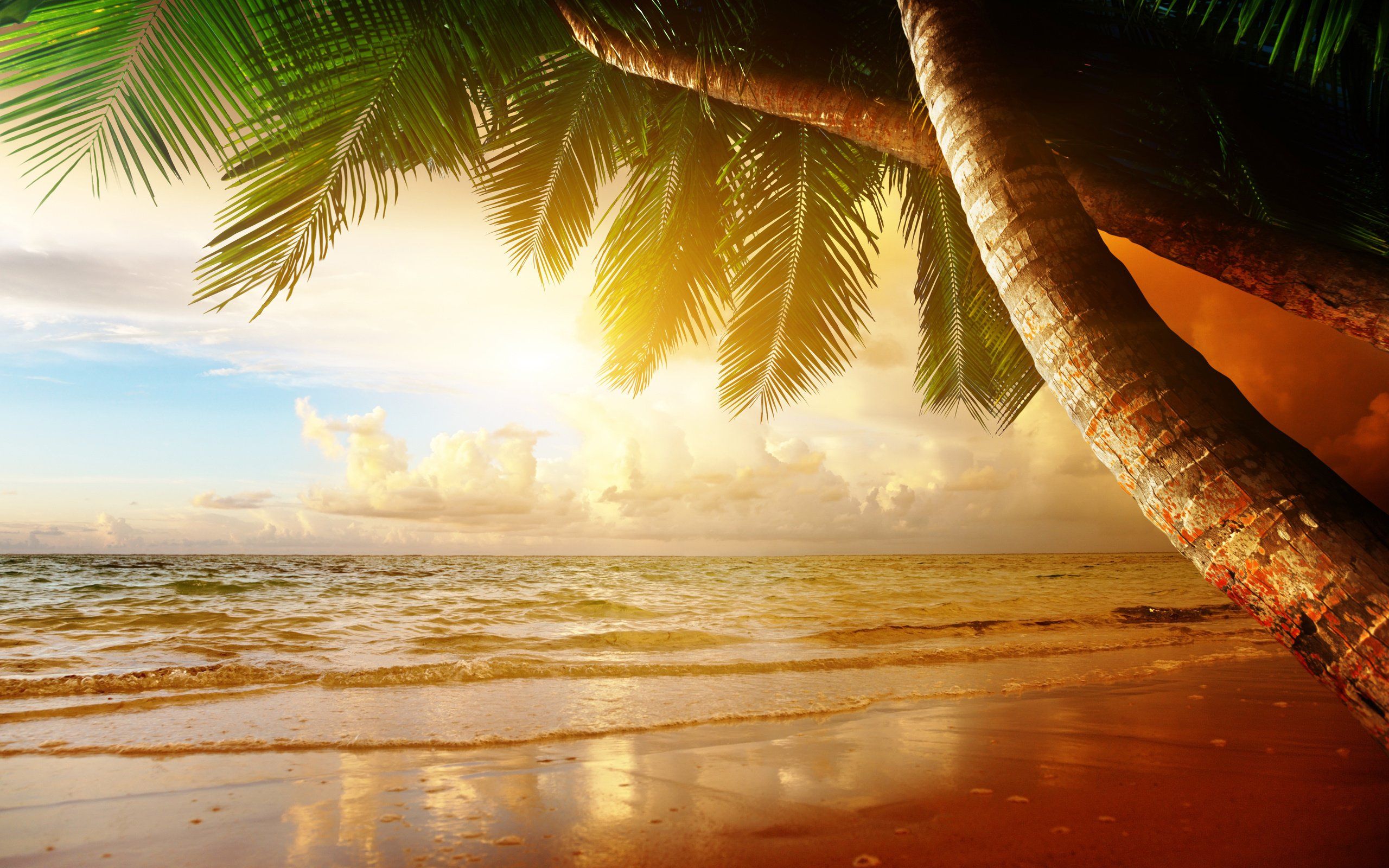 Beach Paradise Sunset Wallpapers