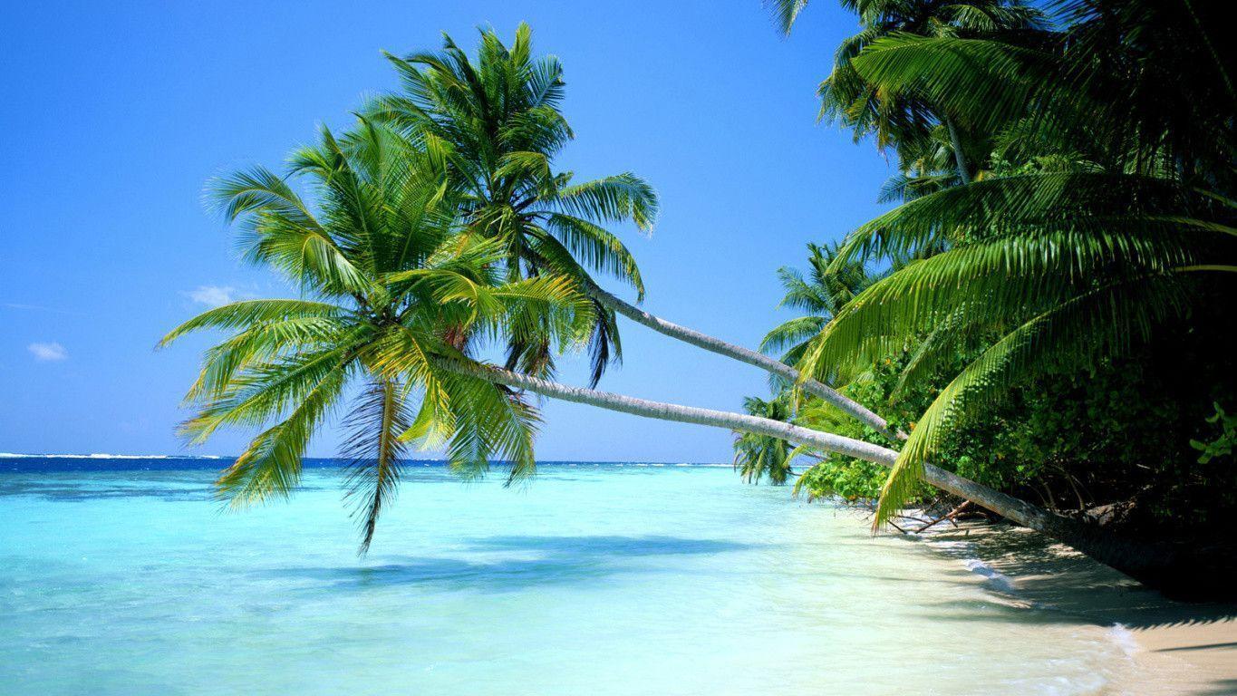 Beach Scenes Desktop Wallpapers