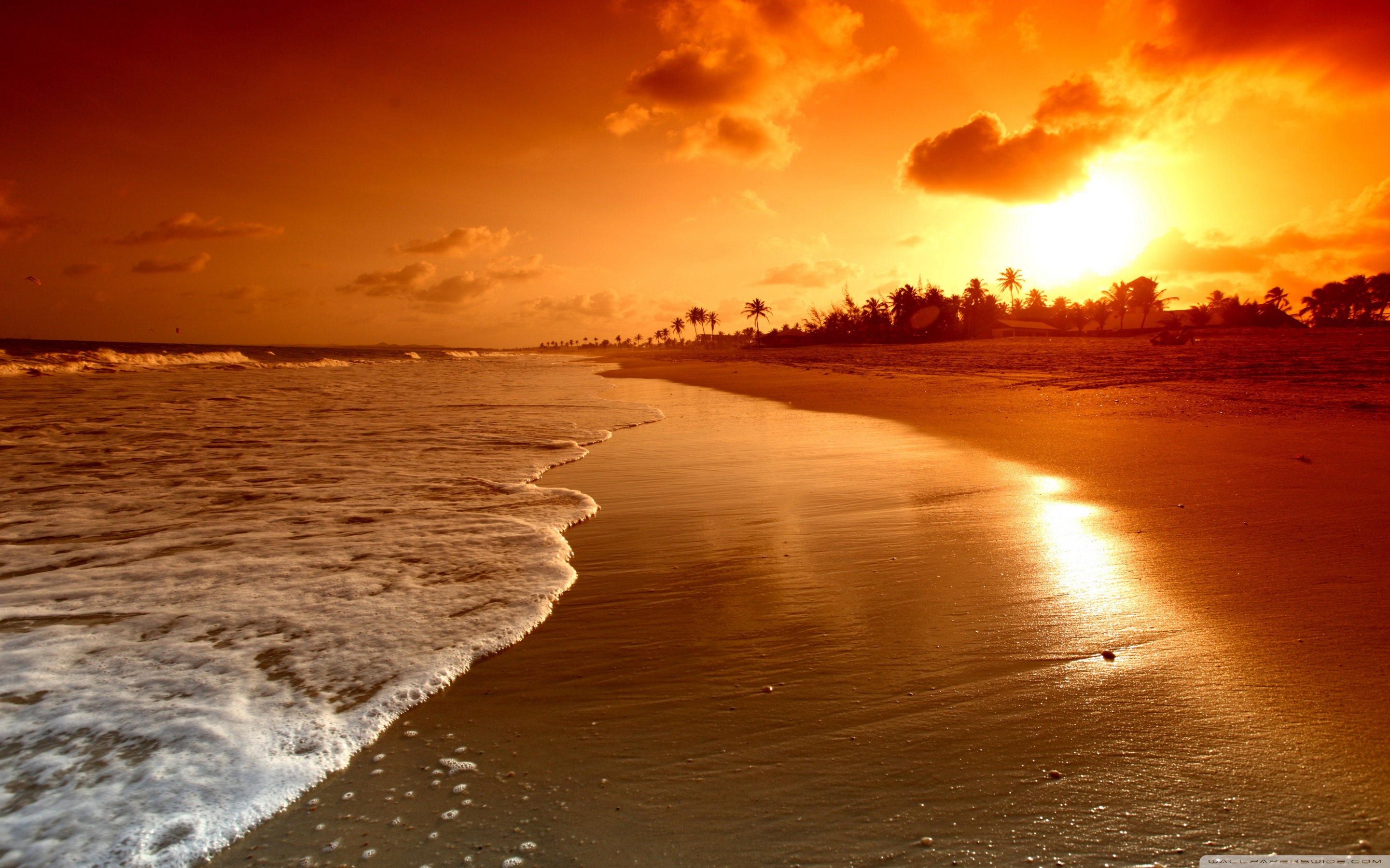 Beach Sunrise Wallpapers