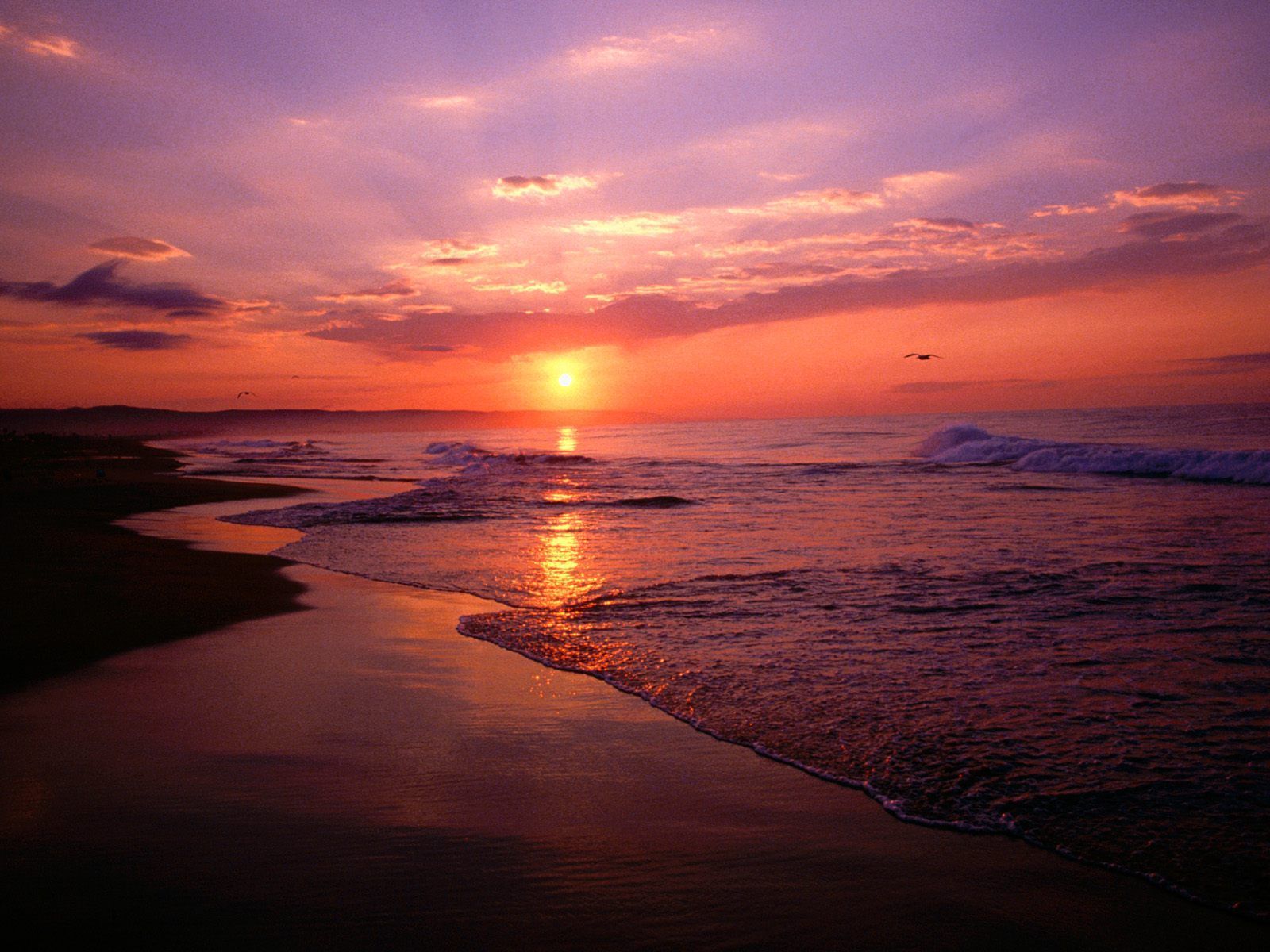 Beach Sunrise Wallpapers