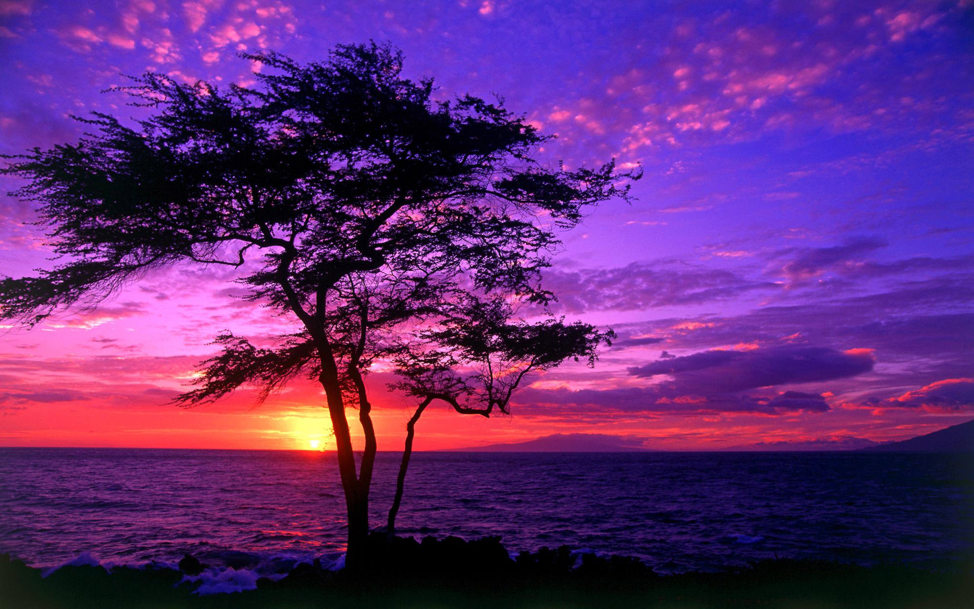 Beach Sunset Purple Wallpapers