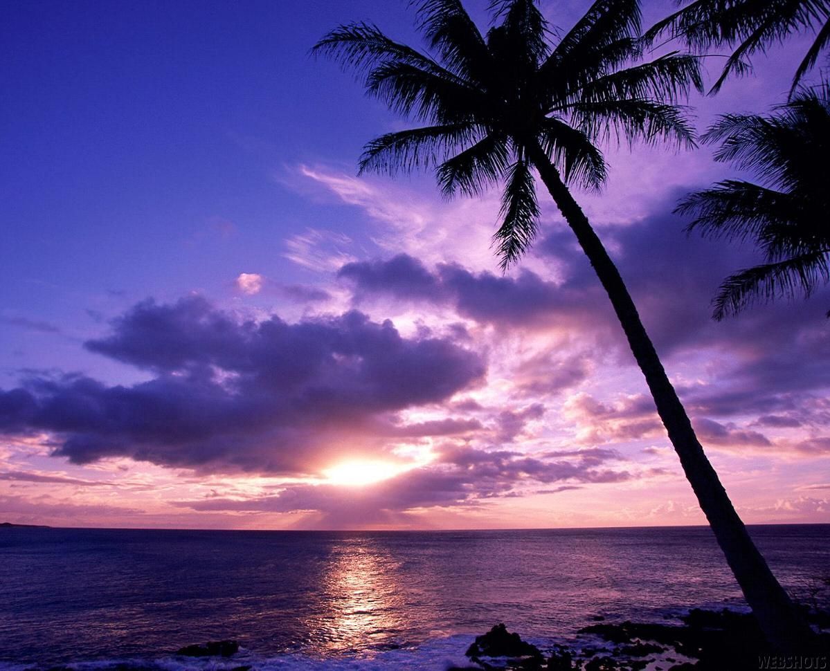 Beach Sunset Purple Wallpapers