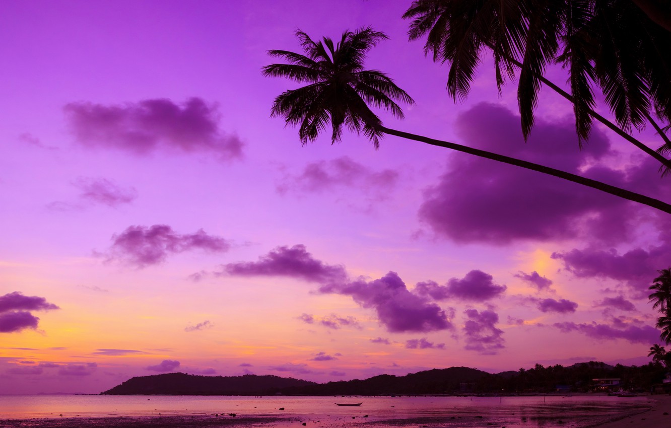 Beach Sunset Purple Wallpapers