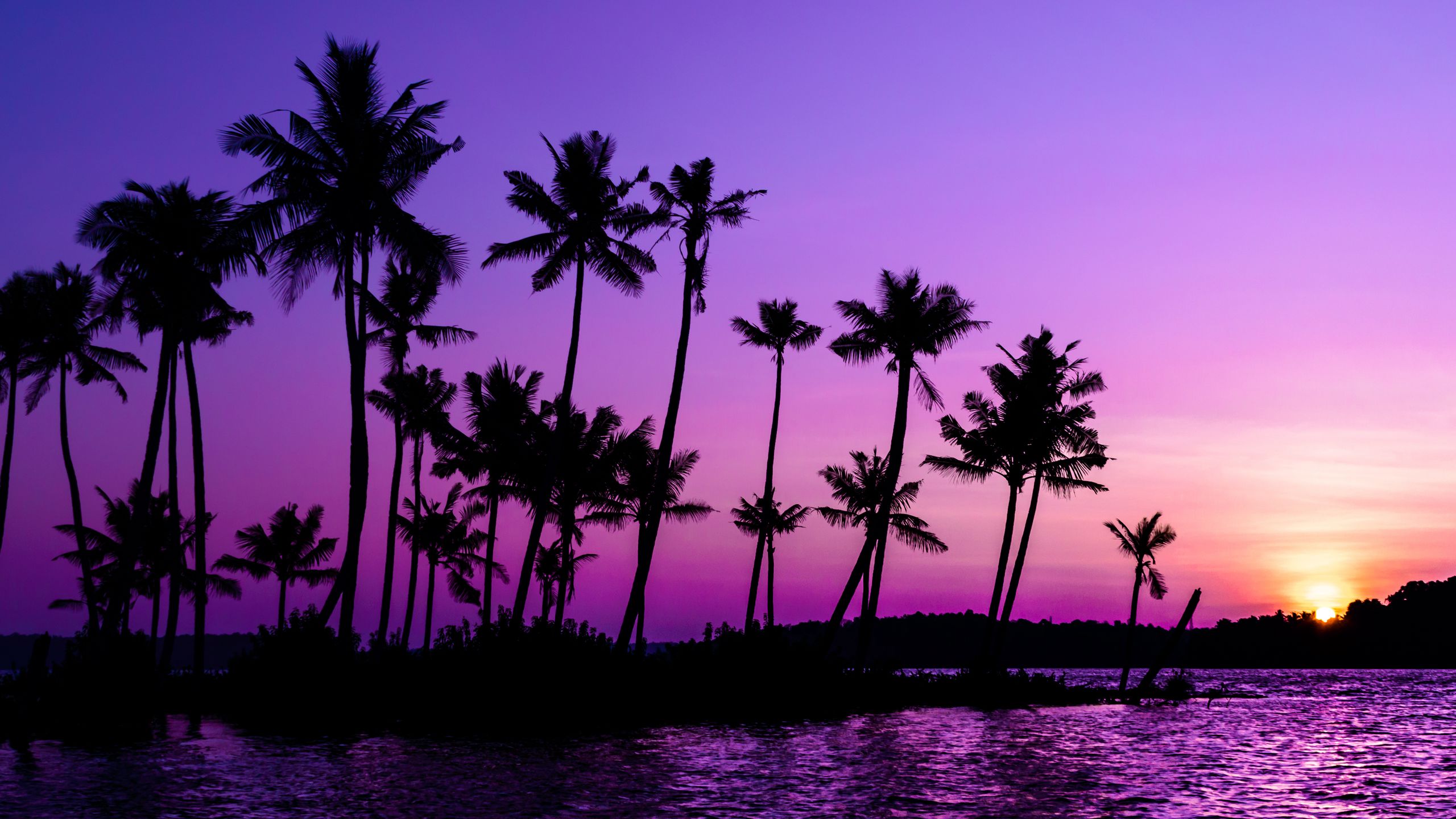 Beach Sunset Purple Wallpapers