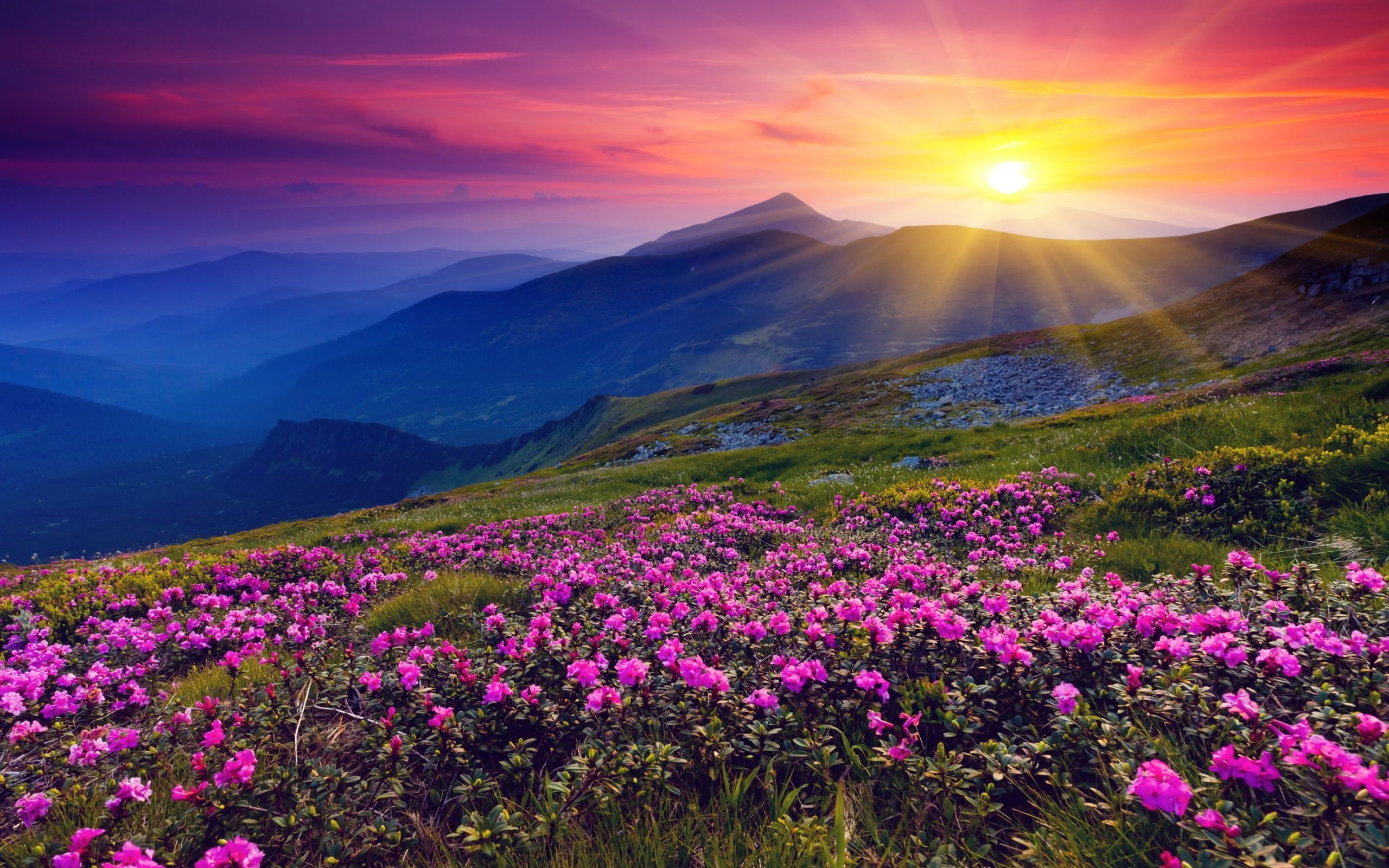 Beautiful 4K Mountain In Sunset Wallpapers