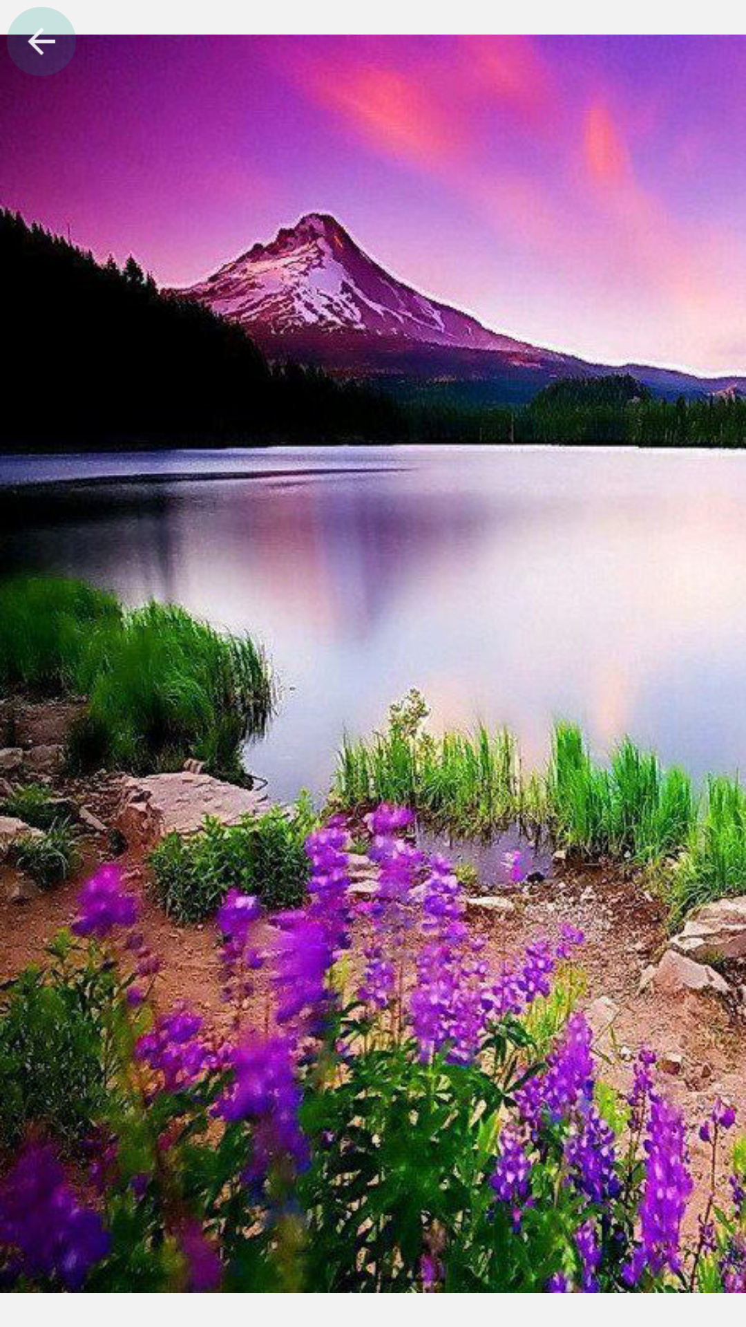 Beautiful Artistic Lake Wallpapers