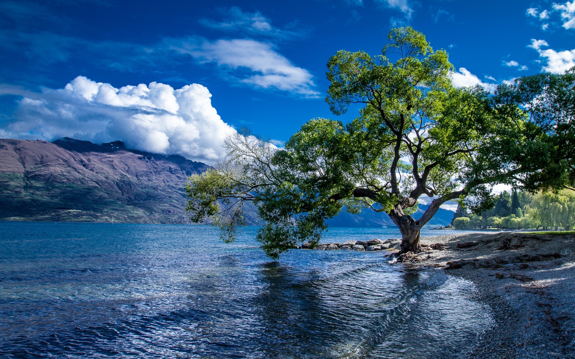 Beautiful Lake New Zealand Wallpapers