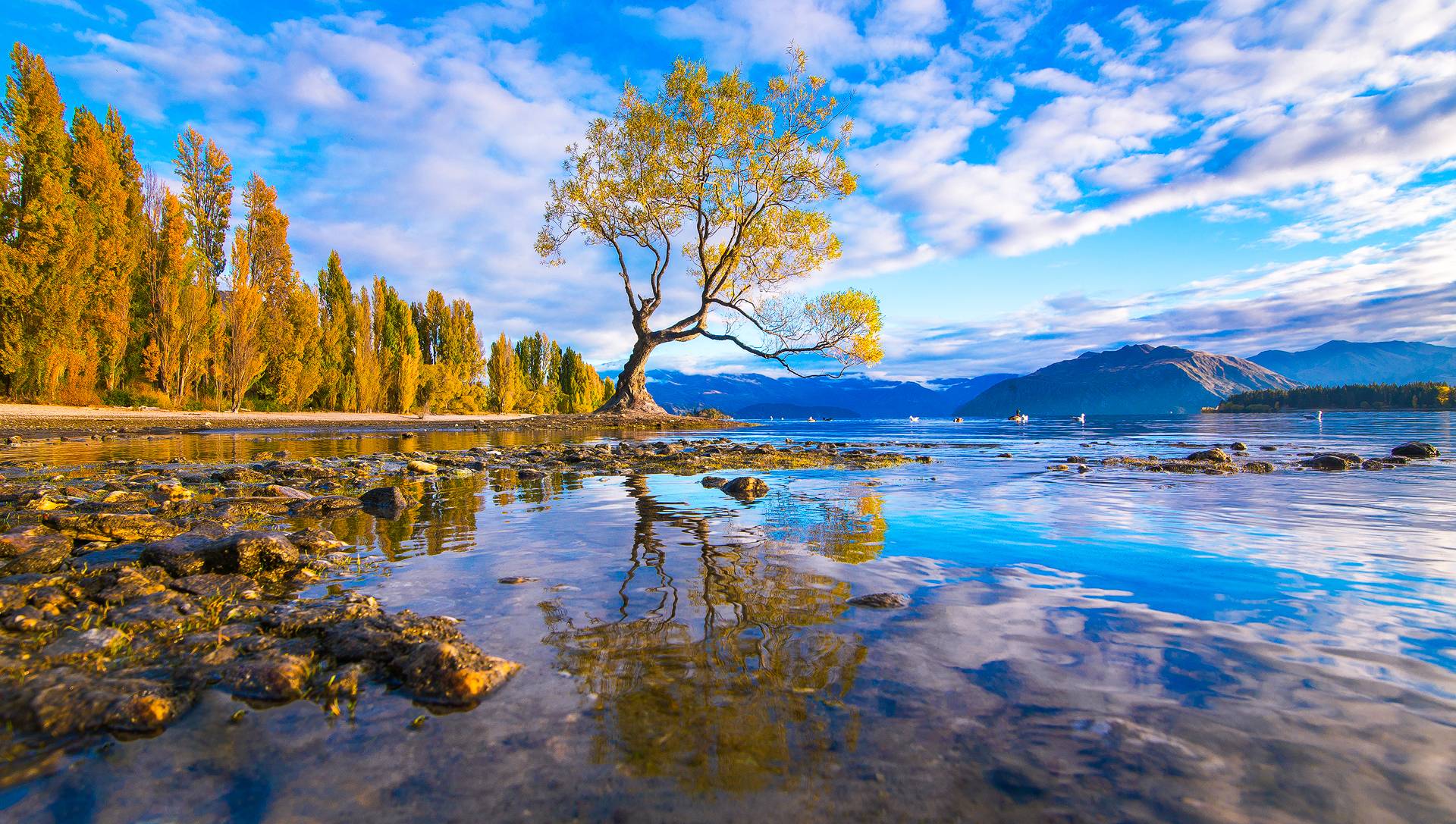 Beautiful Lake New Zealand Wallpapers