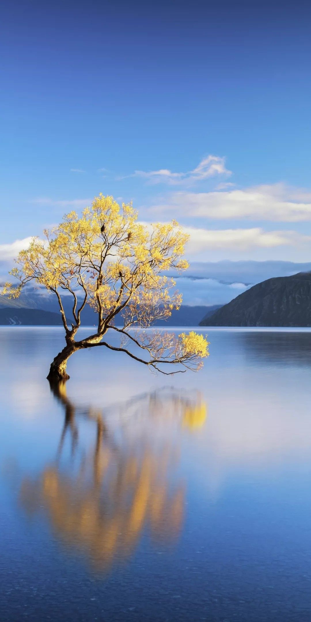 Beautiful Lake New Zealand Wallpapers