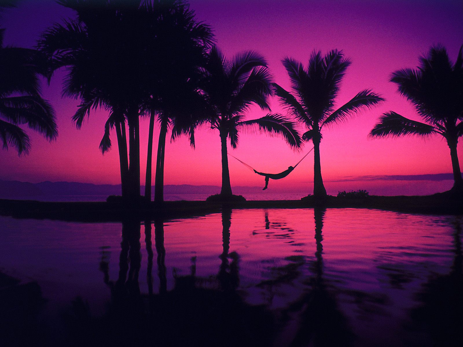 Beautiful Pink Sunset Evening Wallpapers