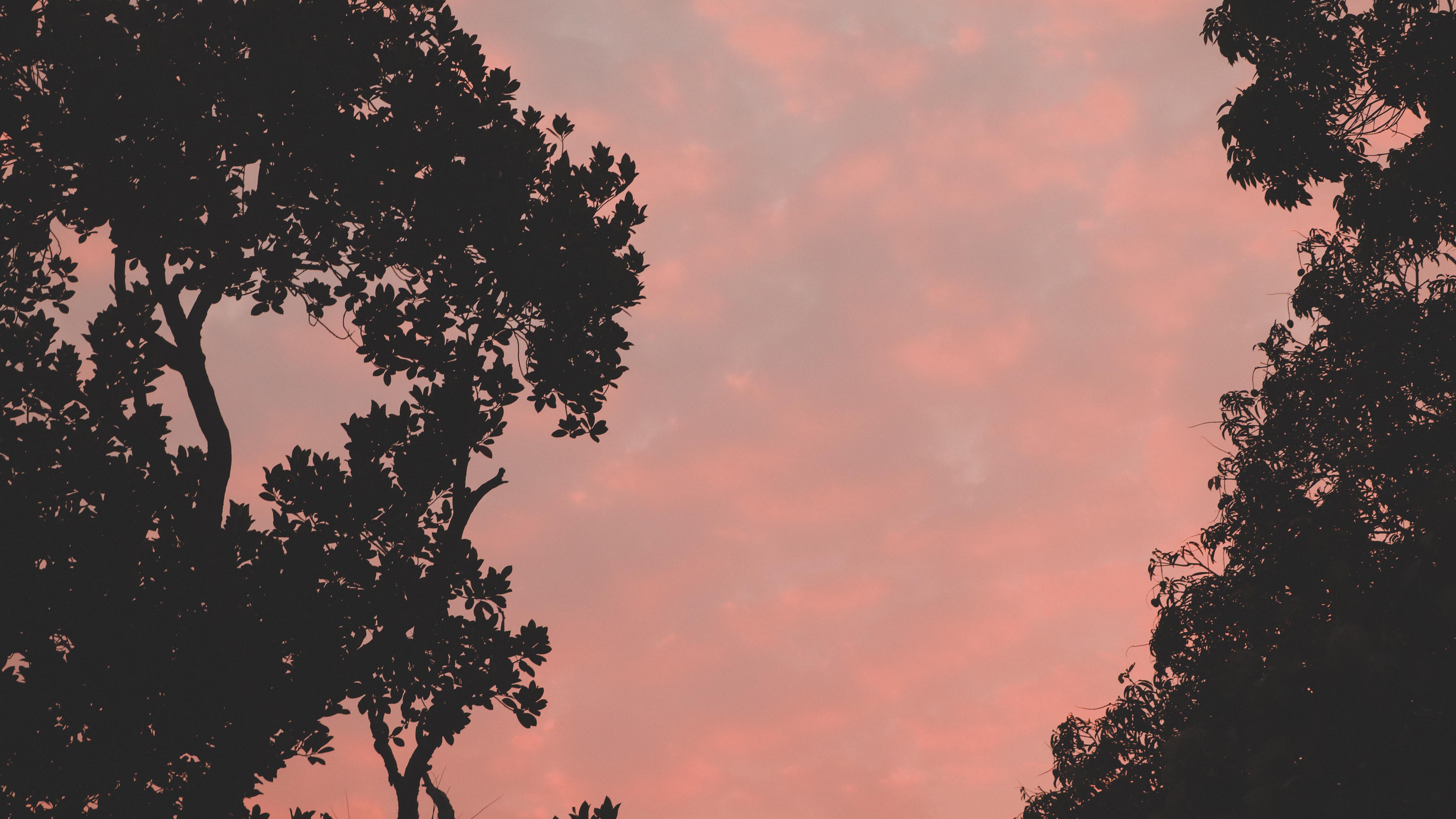 Beautiful Pink Sunset Evening Wallpapers