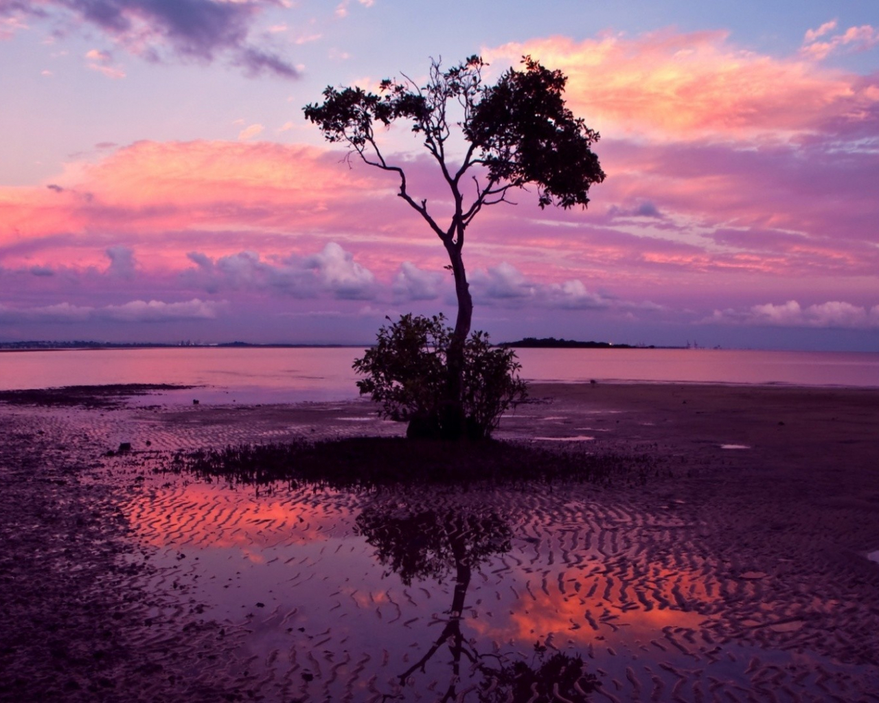 Beautiful Pink Sunset Evening Wallpapers