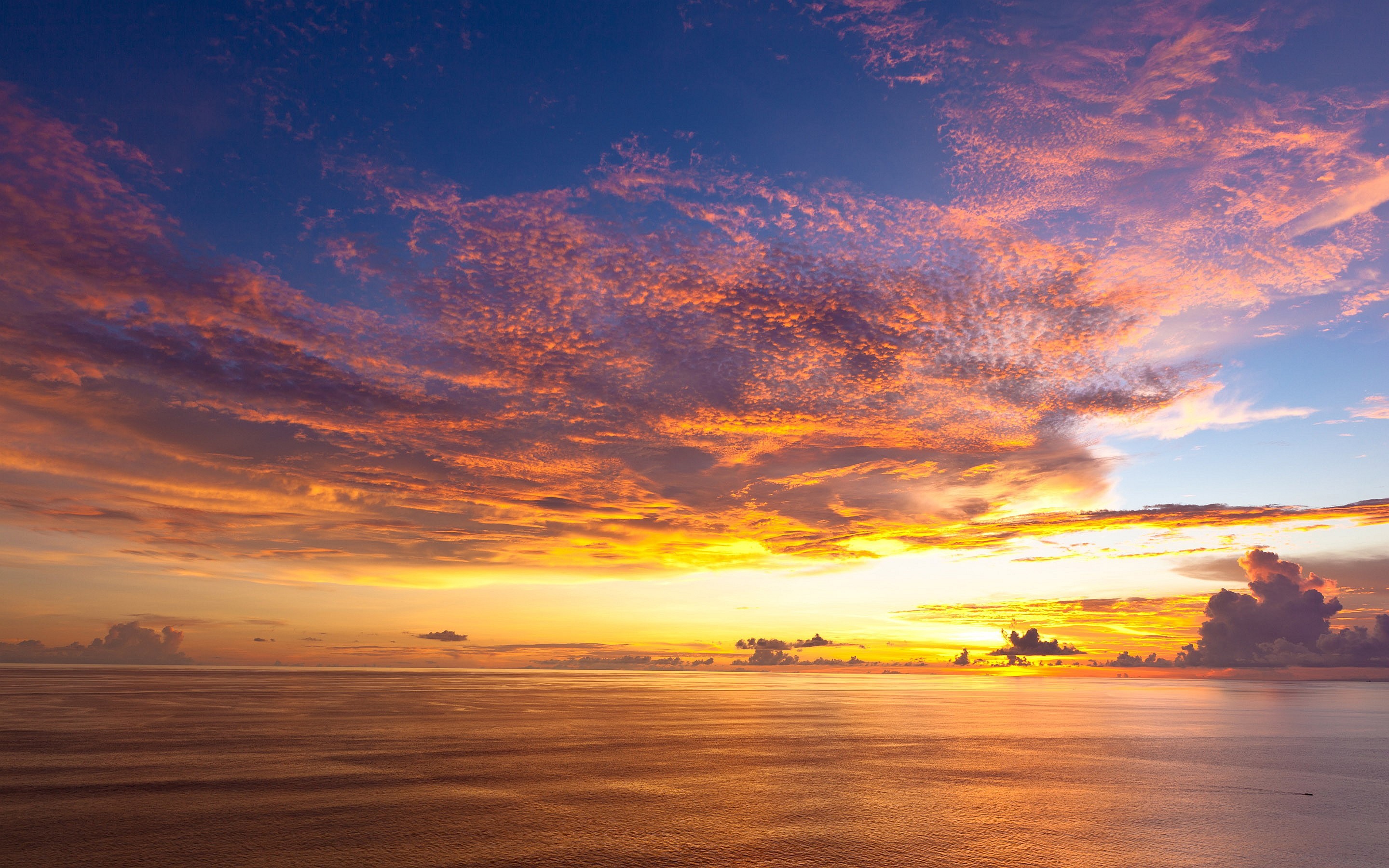 Beautiful Sunset In Horizon Ocean Wallpapers