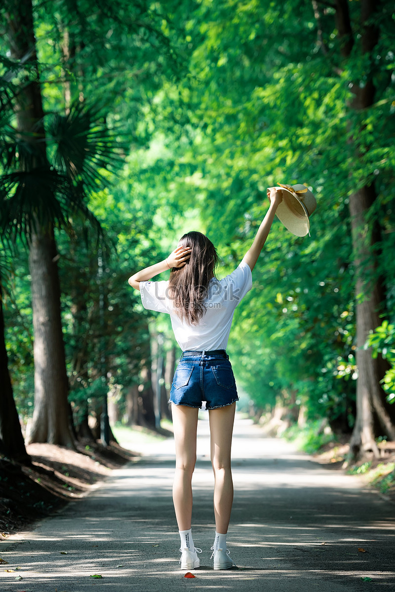 Beautiful Tree-Lined Road Wallpapers